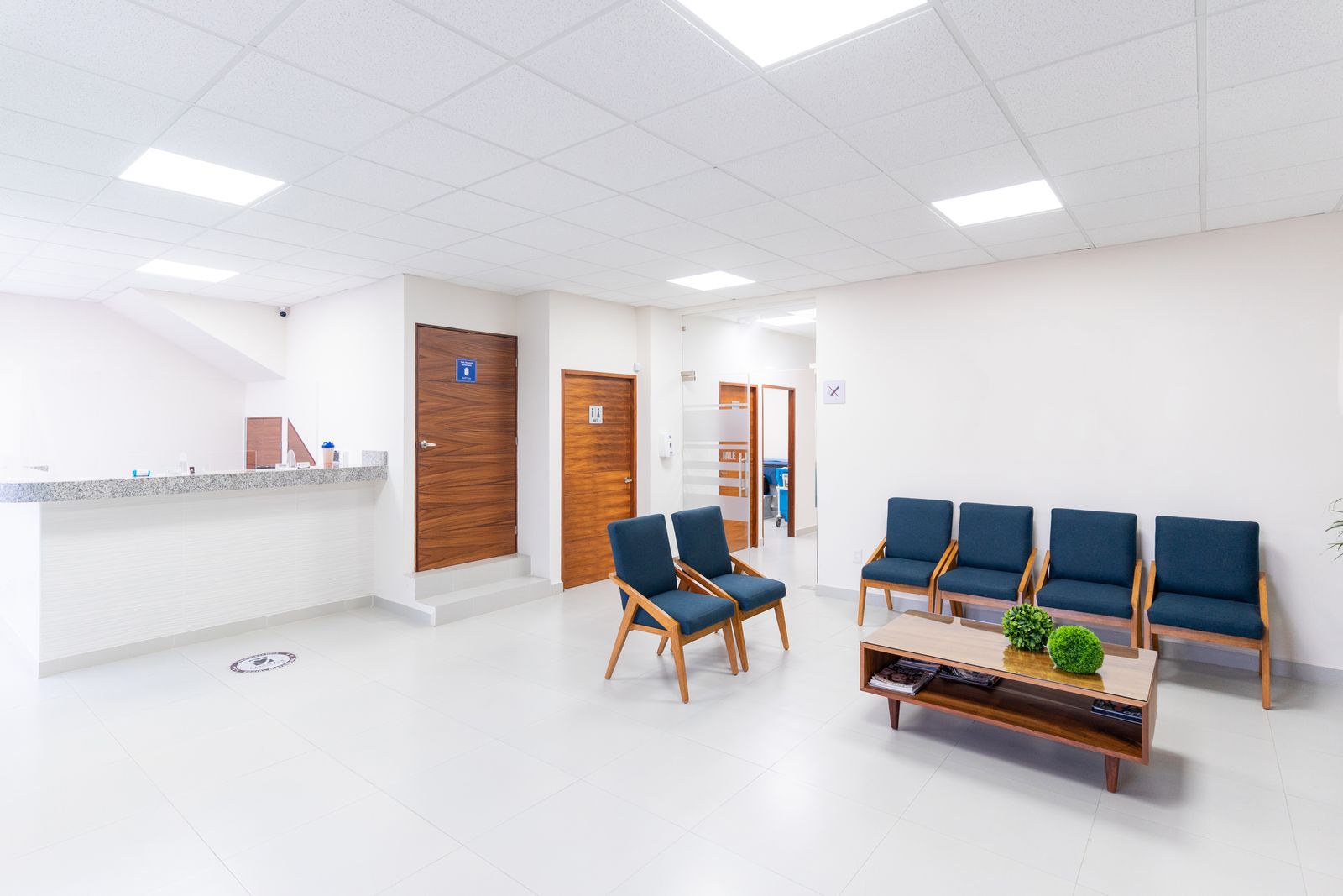 A clean, modern medical waiting area with navy upholstered chairs, a wood coffee table with small potted plants, and a reception counter
